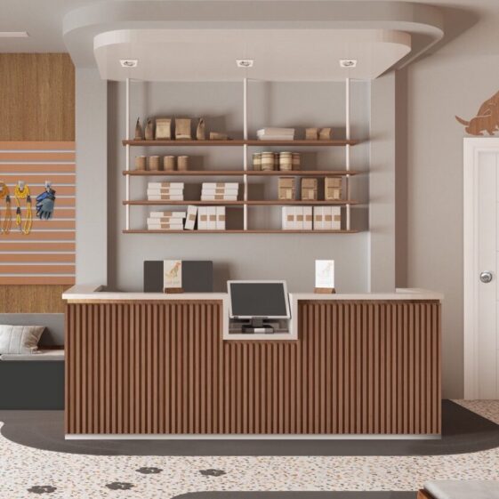 Vet clinic waiting room in white and wooden tones. Reception desk with shelves, sitting area with benches, pillows and carpet. Entrance door and terrazzo tiles. Interior design idea, 3d illustration